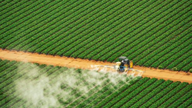 Best Commercial Pest Control Services  in Santa Clara, CA