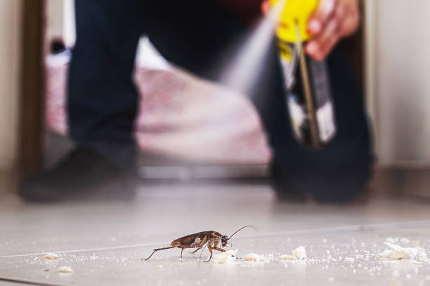 Best Cockroach Control Services  in Santa Clara, CA