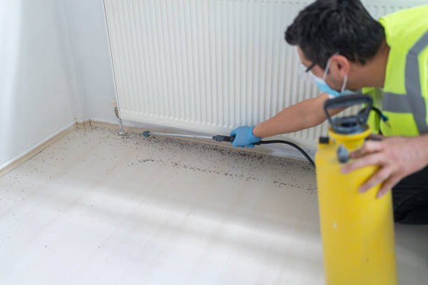 Best Local Pest Control Services  in Santa Clara, CA