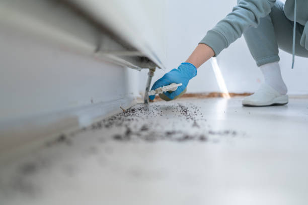 Best Pest Control Treatment  in Santa Clara, CA